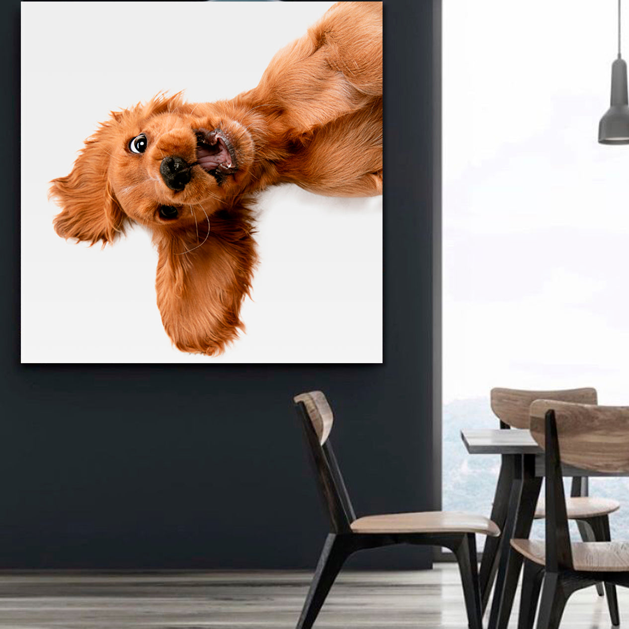 CRAZY PURE YOUTH English Cocker Spaniel Young Funny Cute Dog Kids Room Art - Square Panel Animals Canvas Print Artesty   