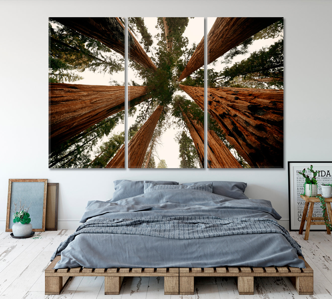 TREES Sequoia and Kings National Park Nature Scenery Nature Wall Canvas Print Artesty 3 panels 36" x 24" 