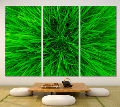 GREEN HOME Grass Floral & Botanical Split Art Artesty   