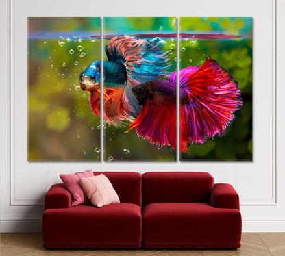 Aquarium Multicolor Siamese Fighting Fish Underwater Nautical, Sea Life Pattern Art Artesty 3 panels 36" x 24" 