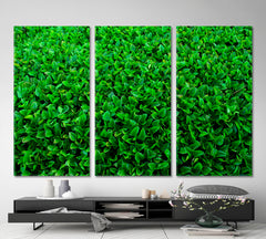 LIVE GREEN HOME Plant Leaf Abstract Floral & Botanical Split Art Artesty 3 panels 36" x 24" 