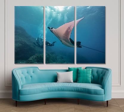 DIVING Nice Manta-Ray Underwater Amazing Photo Shoot Nautical, Sea Life Pattern Art Artesty 3 panels 36" x 24" 