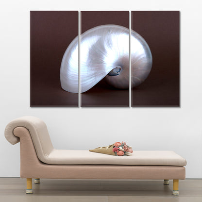 PEARL SHELL Abstract Seashell Contemporary Art Artesty 3 panels 36" x 24" 