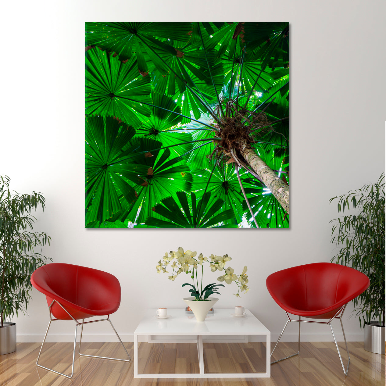 UNUSUAL PALM TREES Australia Rainforest Tropical, Exotic Art Print Artesty   