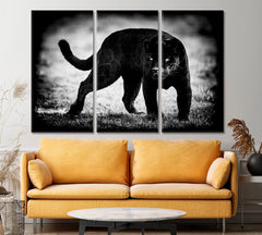 PUMA Wild Beast Jaguar Beautiful Animals Wildlife Animals Canvas Print Artesty 3 panels 36" x 24" 