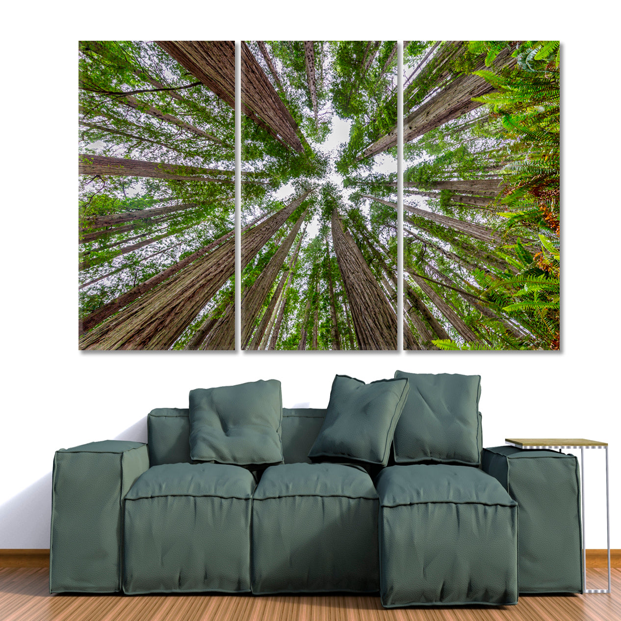 LARGE TREES Lady Bird Johnson Grove Trail Redwoods National Park Nature Wall Canvas Print Artesty 3 panels 36" x 24" 