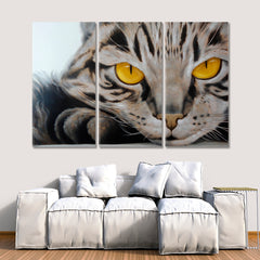 SOFT & FLUFFY Cute Kitty Cat Animals Fine Art Animals Canvas Print Artesty 3 panels 36" x 24" 