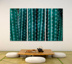 CACTUS Closeup Thorn Cactus abstract Natural Pattern Tropical, Exotic Art Print Artesty 3 panels 36" x 24" 