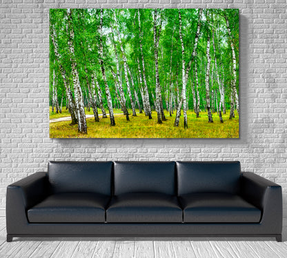 Birch Grove Sunny Summer Day Panorama Nature Wall Canvas Print Artesty   