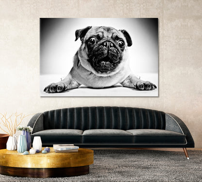 Funny Animals Poster Animals Canvas Print Artesty   