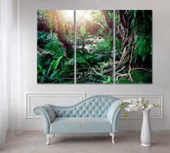 LIANA VINES JUNGLE RAINFOREST Colored Lush Scenes Landscape Nature Wall Canvas Print Artesty 3 panels 36" x 24" 
