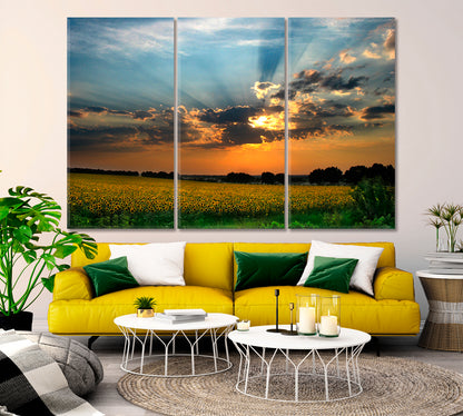 Colorful Sunset Sun Rays Amazing Field of Sunflowers Landscape Scenery Landscape Fine Art Print Artesty 3 panels 36" x 24" 