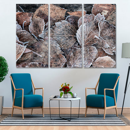 ABSTRACT NATURALISM Frost on Brown Leaf Floral & Botanical Split Art Artesty 3 panels 36" x 24" 