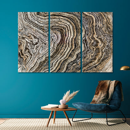 Marble Wave Pattern Tree Age Rings Brown Abstract Fluid Art, Oriental Marbling Canvas Print Artesty   