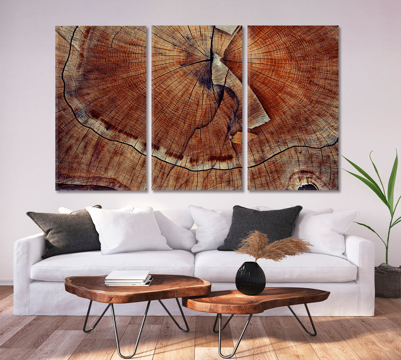 Wood Cut Ring Abstract Art Print Artesty 3 panels 36" x 24" 