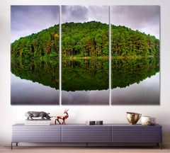 AMAZING Nature Reflection of pine tree in a lake, Thailand Pang Ung Hidden Treasures Scenery Landscape Fine Art Print Artesty 3 panels 36" x 24" 
