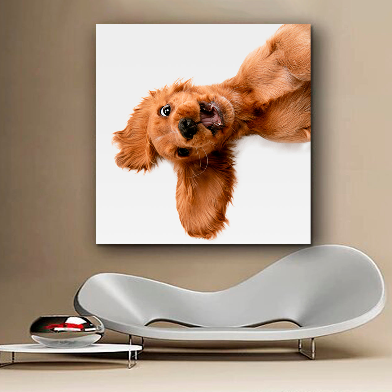 CRAZY PURE YOUTH English Cocker Spaniel Young Funny Cute Dog Kids Room Art - Square Panel Animals Canvas Print Artesty   