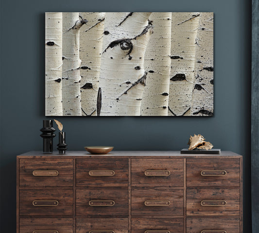 Birch Trees Row Close-up Trunks Nature Wall Canvas Print Artesty 1 panel 24" x 16" 