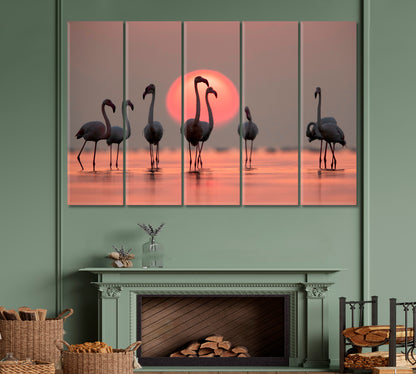 Asker Coast Greater Flamingos Amazing Coral Hue Sunset Dramatic Sky Wild Life Framed Art Artesty   