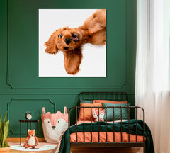 CRAZY PURE YOUTH English Cocker Spaniel Young Funny Cute Dog Kids Room Art - Square Panel Animals Canvas Print Artesty   