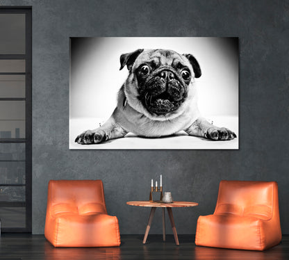 Funny Animals Poster Animals Canvas Print Artesty   