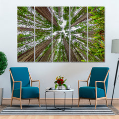 LARGE TREES Lady Bird Johnson Grove Trail Redwoods National Park Nature Wall Canvas Print Artesty 5 panels 36" x 24" 