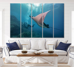 DIVING Nice Manta-Ray Underwater Amazing Photo Shoot Nautical, Sea Life Pattern Art Artesty 5 panels 36" x 24" 