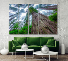 Huge Sequoias Trees Redwood National Park California Poster Famous Landmarks Artwork Print Artesty 5 panels 36" x 24" 