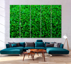 LIVE GREEN HOME Plant Leaf Abstract Floral & Botanical Split Art Artesty 5 panels 36" x 24" 