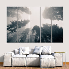 TREES Giant Tree Fog Sequoia National Park Misty Forest Nature Wall Canvas Print Artesty 5 panels 36" x 24" 
