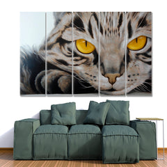 SOFT & FLUFFY Cute Kitty Cat Animals Fine Art Animals Canvas Print Artesty 5 panels 36" x 24" 