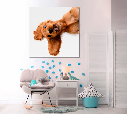 CRAZY PURE YOUTH English Cocker Spaniel Young Funny Cute Dog Kids Room Art - Square Panel Animals Canvas Print Artesty   