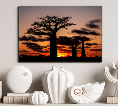 African Landscape Night View Huge Baobabs Nature Wall Canvas Print Artesty   