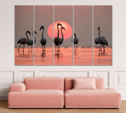 Asker Coast Greater Flamingos Amazing Coral Hue Sunset Dramatic Sky Wild Life Framed Art Artesty   