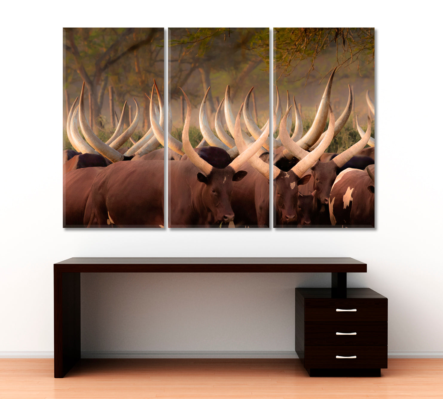 Herd Ankole Cows Huge Horns African Animals Poster Animals Canvas Print Artesty   