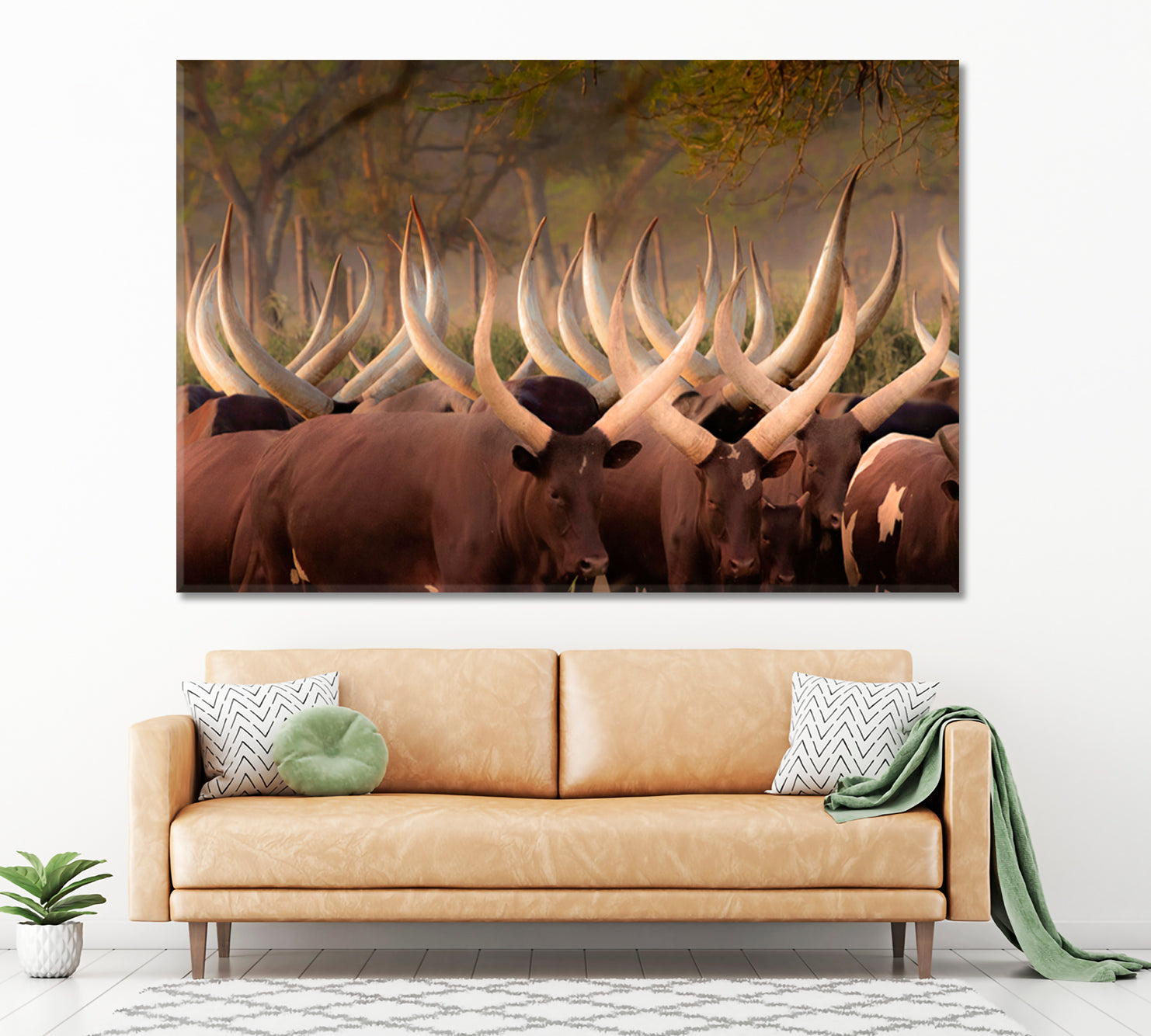 Herd Ankole Cows Huge Horns African Animals Poster Animals Canvas Print Artesty   