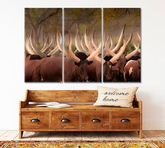 Herd Ankole Cows Huge Horns African Animals Poster Animals Canvas Print Artesty 3 panels 36" x 24" 