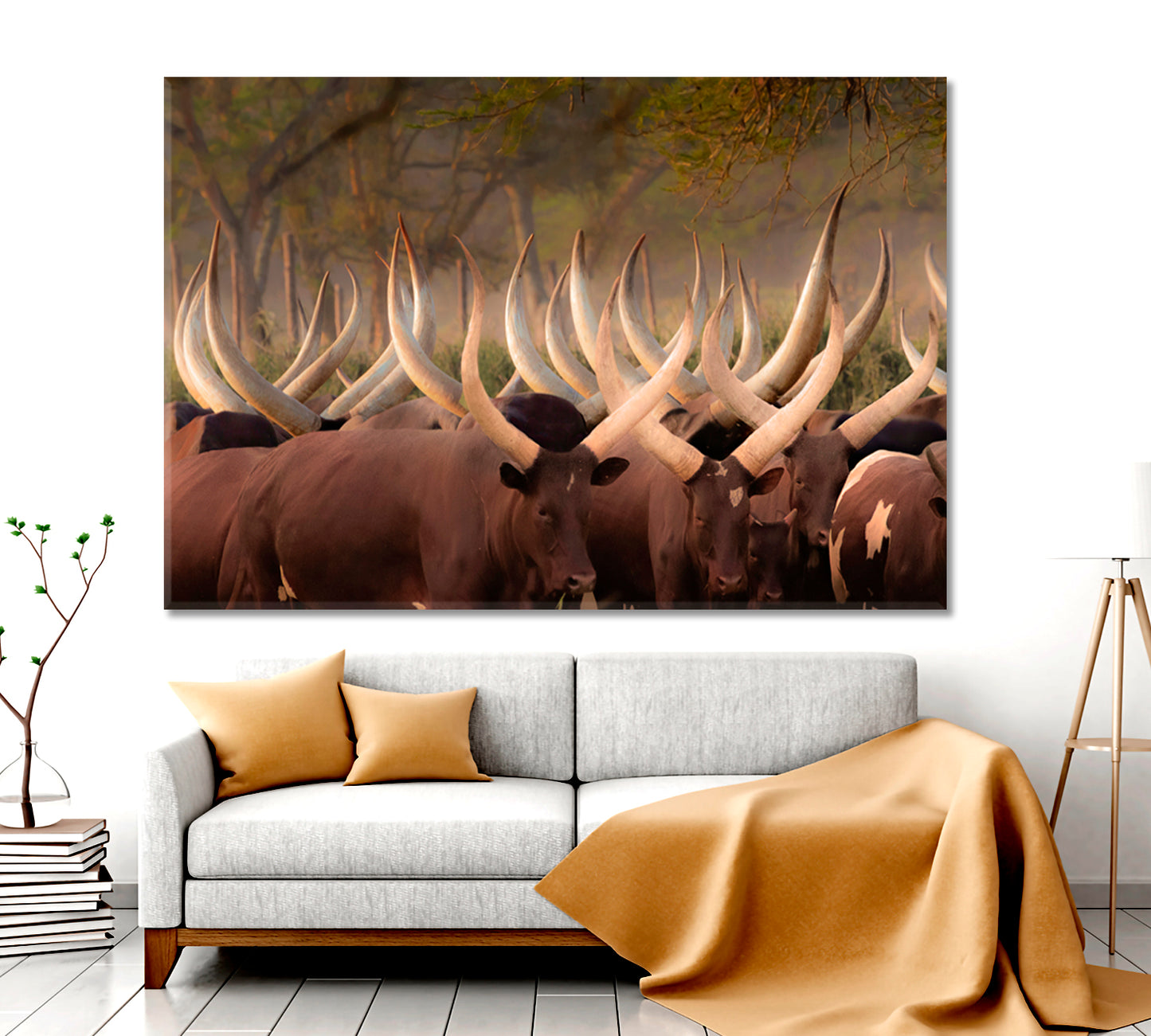 Herd Ankole Cows Huge Horns African Animals Poster Animals Canvas Print Artesty   