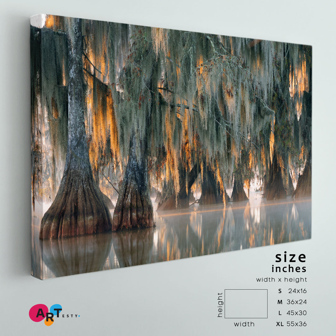 AMAZING HUGE TREE Most Incredible Unique Trees Bald Cypress Nature Wall Canvas Print Artesty 1 panel 24" x 16" 