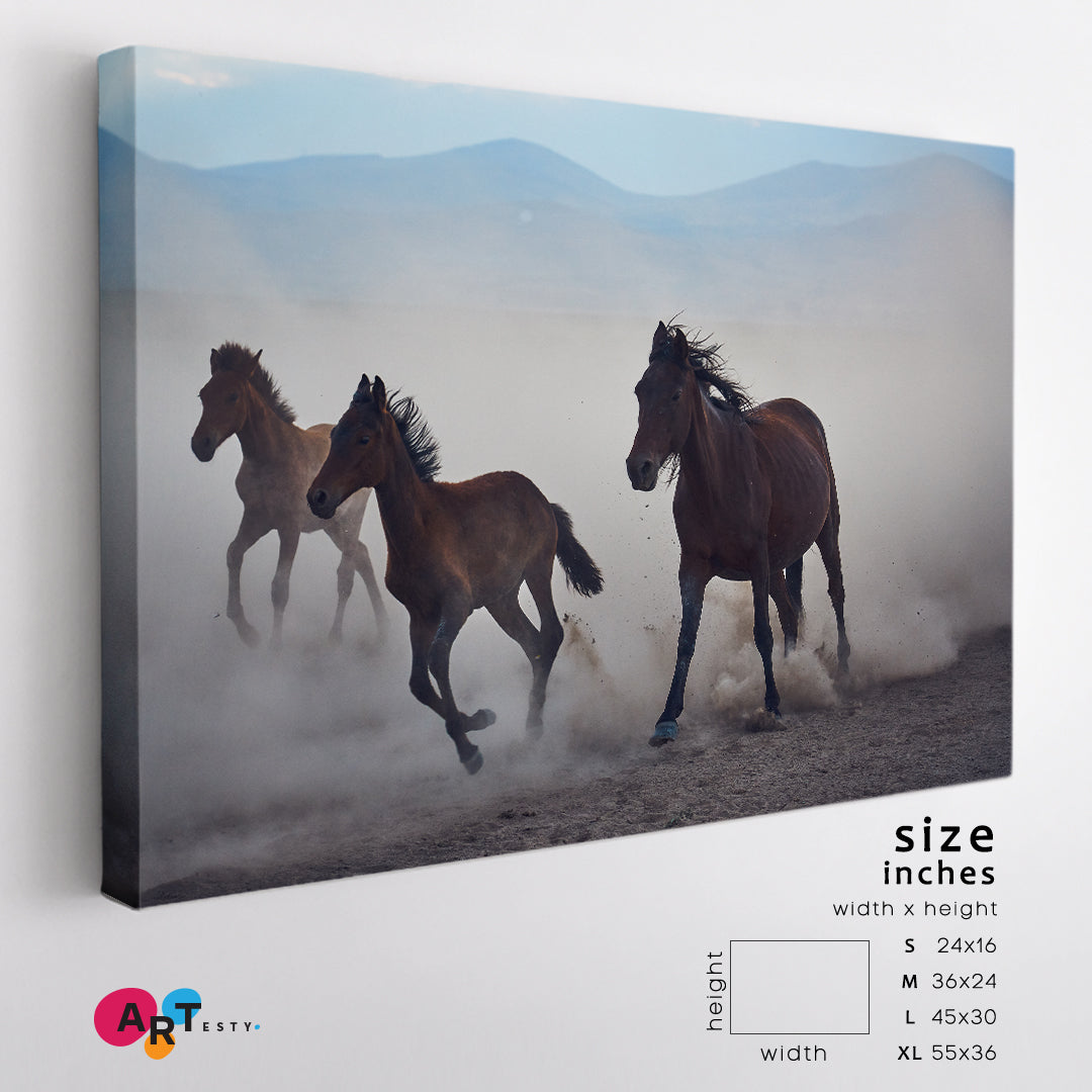 WILD LIFE Wild Horses Running In The Dust Canvas Print Animals Canvas Print Artesty 1 panel 24" x 16" 
