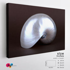 PEARL SHELL Abstract Seashell Contemporary Art Artesty 1 panel 24" x 16" 