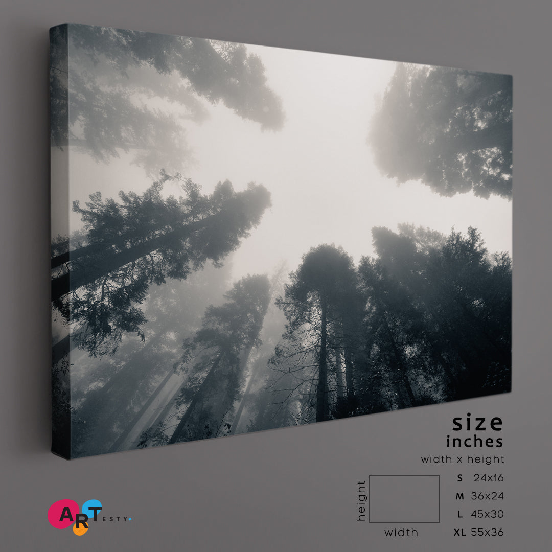 TREES Giant Tree Fog Sequoia National Park Misty Forest Nature Wall Canvas Print Artesty 1 panel 24" x 16" 