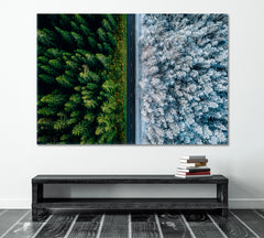 TWO SEASONS Highway Road Through The Forest Aerial View Scenery Landcape Artesty 1 panel 24" x 16" 