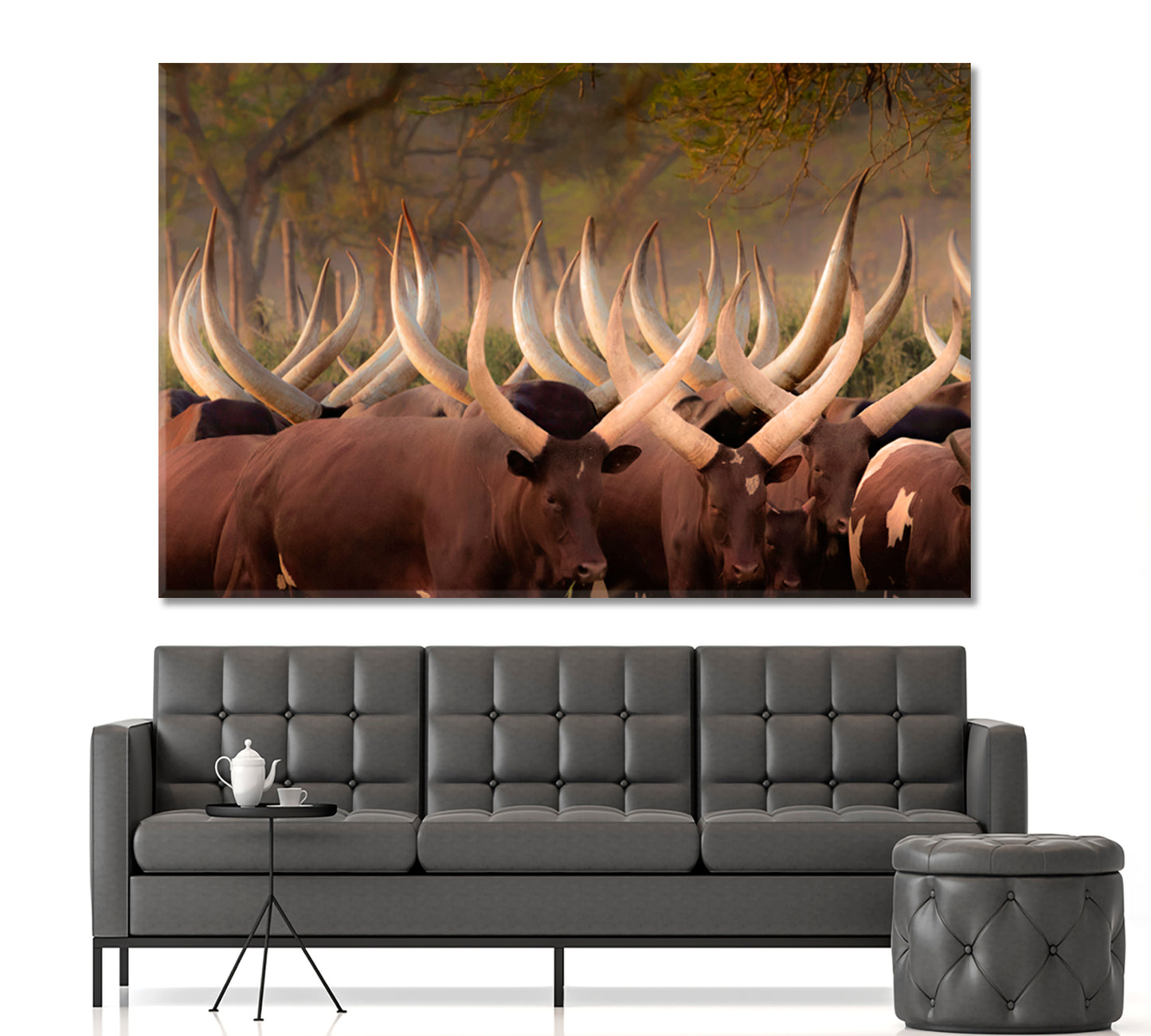 Herd Ankole Cows Huge Horns African Animals Poster Animals Canvas Print Artesty   