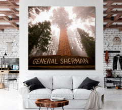 Giant Sequoia Tree General Sherman Sequoia National Park California USA - Square Panel Nature Wall Canvas Print Artesty 1 Panel 12"x12" 