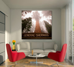 Giant Sequoia Tree General Sherman Sequoia National Park California USA - Square Panel Nature Wall Canvas Print Artesty   