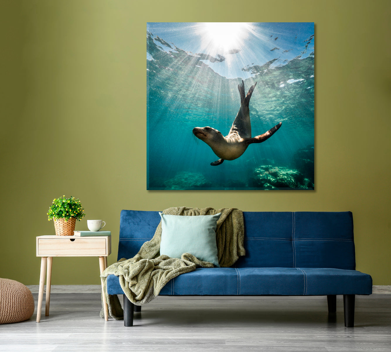 Sea Life A beautiful Shot of a California Sea Lion Seal - Square Panel Animals Canvas Print Artesty   