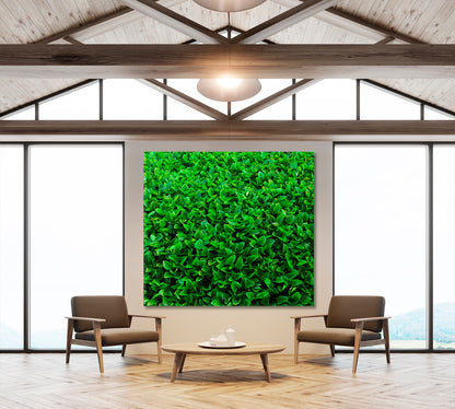 LIVE GREEN HOME Plant Leaf Abstract - Square Panel Floral & Botanical Split Art Artesty   