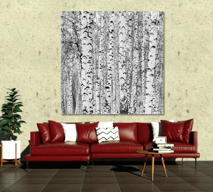 Birch Forest Winter Landscape Black and White Photo Print - Square Panel Floral & Botanical Split Art Artesty 1 Panel 12"x12" 