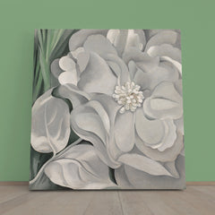 Abstract Beautiful White Flower Abstract Art Print Artesty 1 Panel 12"x12" 